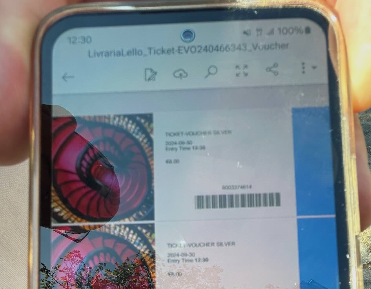 ポルト・レロ書店の予約チケット画面（スマホ表示のバーコード付き入場チケット）