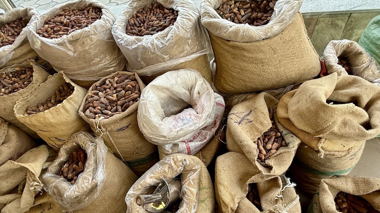 エジプトで見かけたお土産のある風景