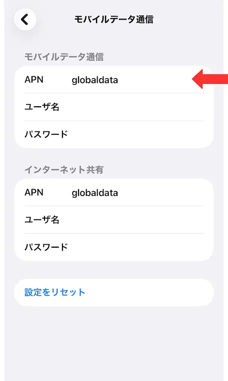 iPhoneでAPN設定を確認する画面（globaldata）