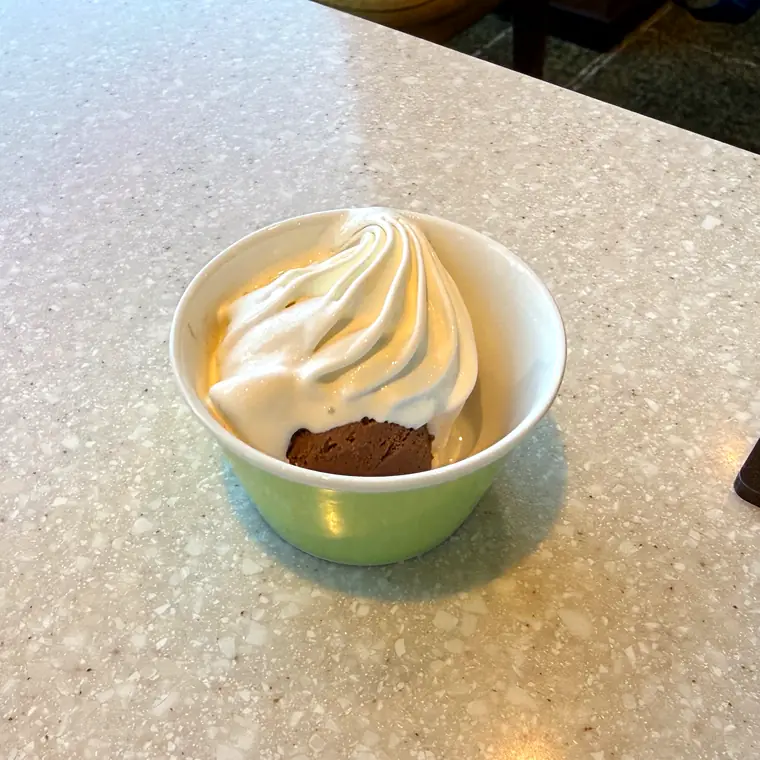 飛鳥Ⅱのロゴ入りカップに盛られたソフトクリームとチョコレートアイス