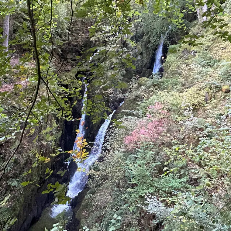 緑の木々と岩の間を流れ落ちる滝