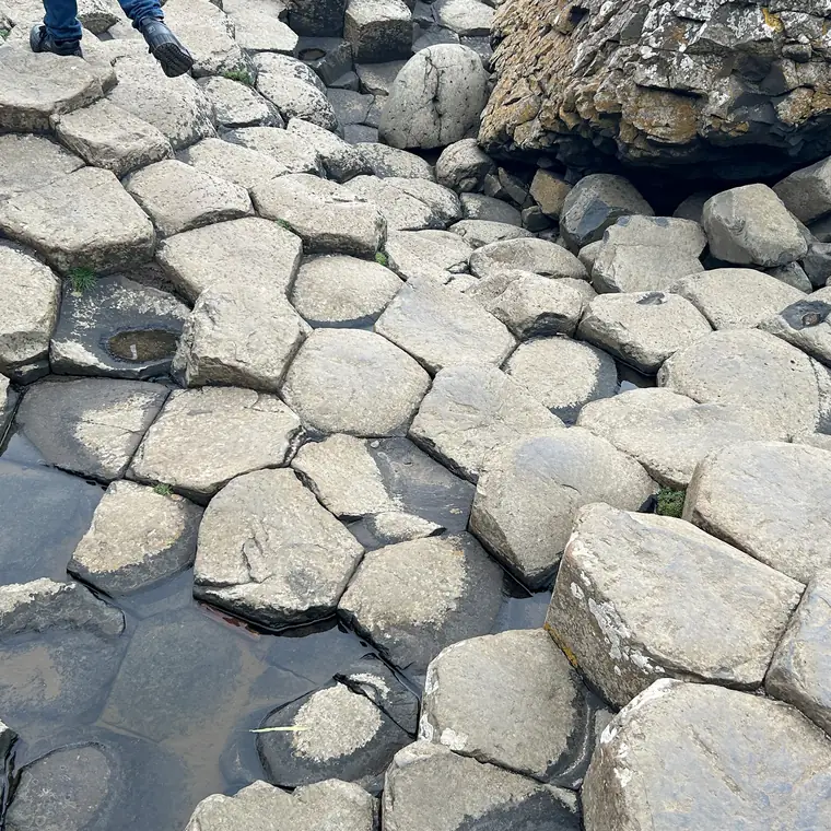 水のたまった石のくぼみ