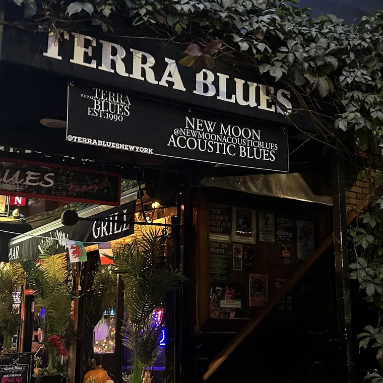 Terra Bluesの看板と階段の入口